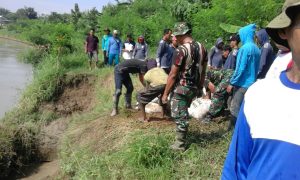 whatsapp-image-2016-11-18-at-16-18-00